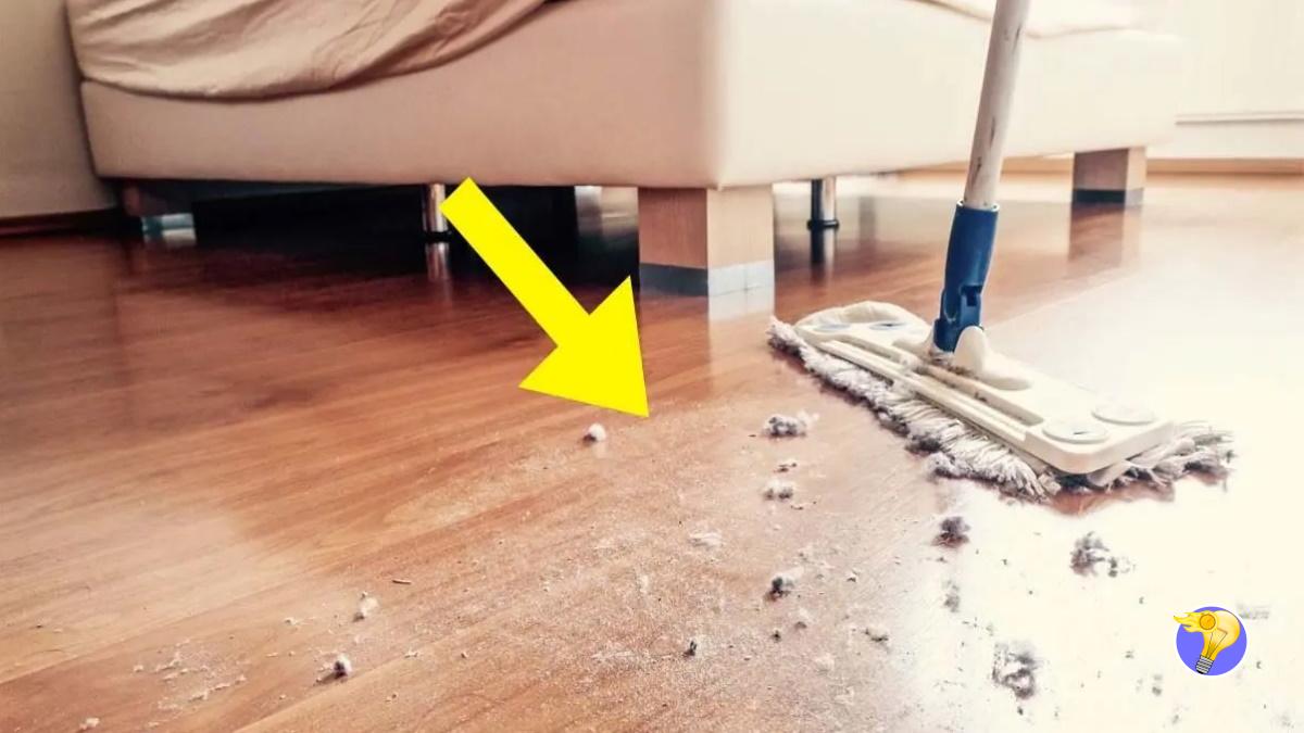 8 Astuces Efficaces pour ne pas Avoir la Poussière Chez Vous