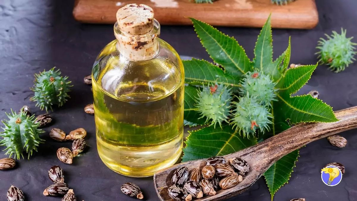 Huile de Ricin : Bienfaits pour la Peau et les Cheveux