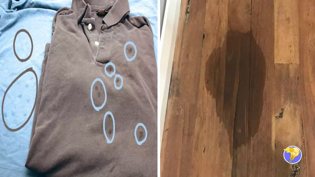 Tache de Graisse: Apprenez à l’Éliminer de vos Habits et vos Meubles