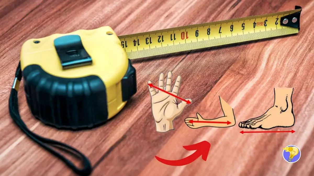 Apprenez à évaluer une Mesure sans Avoir un Mètre sous la Main