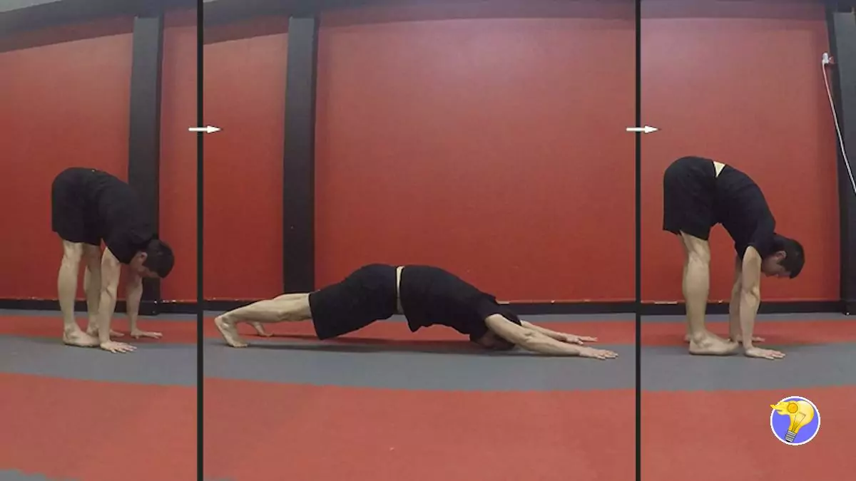 Home Gym Everlast Corps Vert - Appareil D'exercice à Poids De Corps