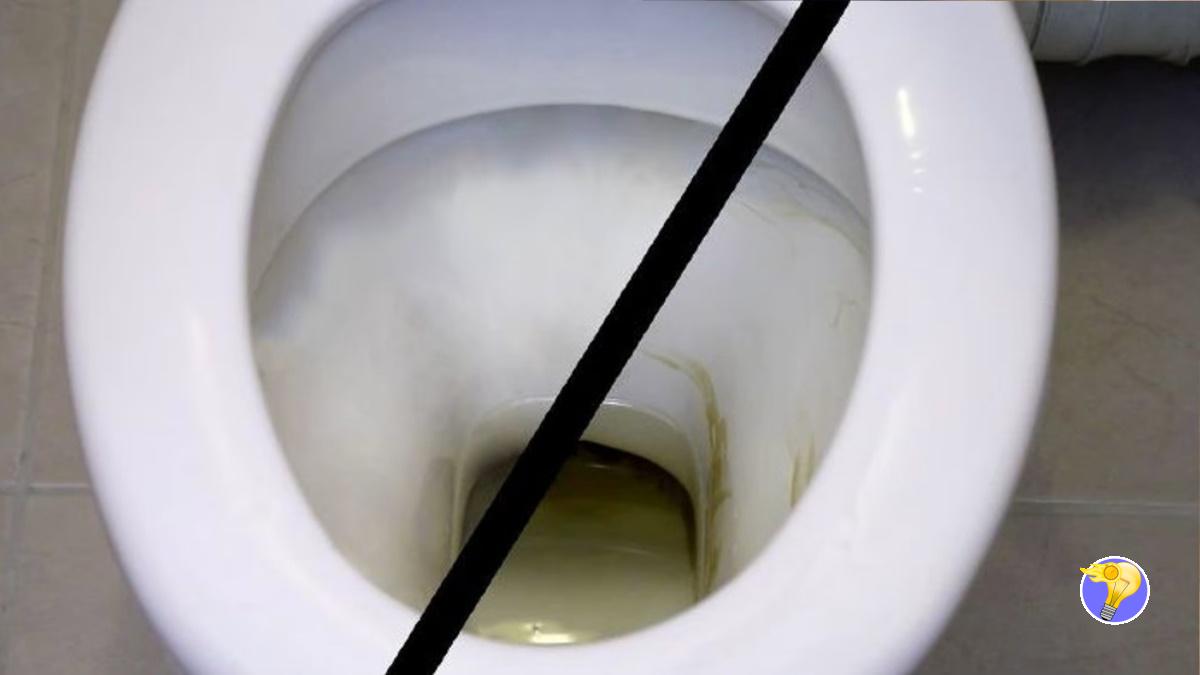 Le Truc Pour Nettoyer la Cuvette des Toilettes avec des Produits Naturels