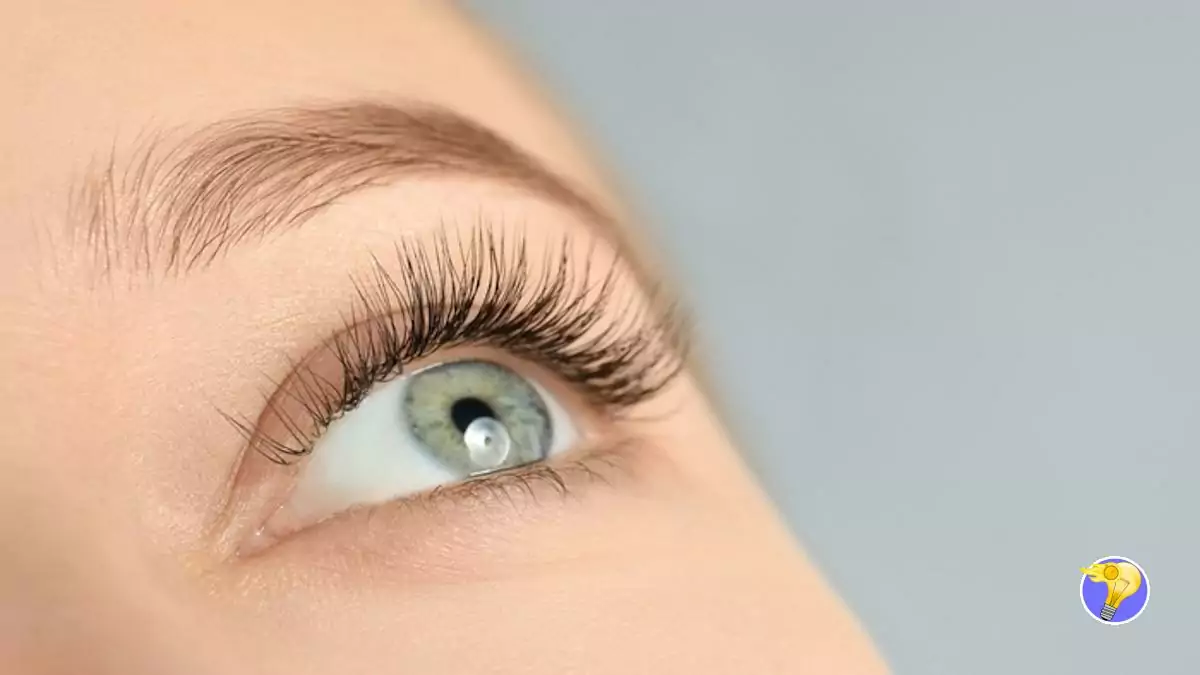 Comment Avoir des Cils Longs, Volumineux et Vigoureux