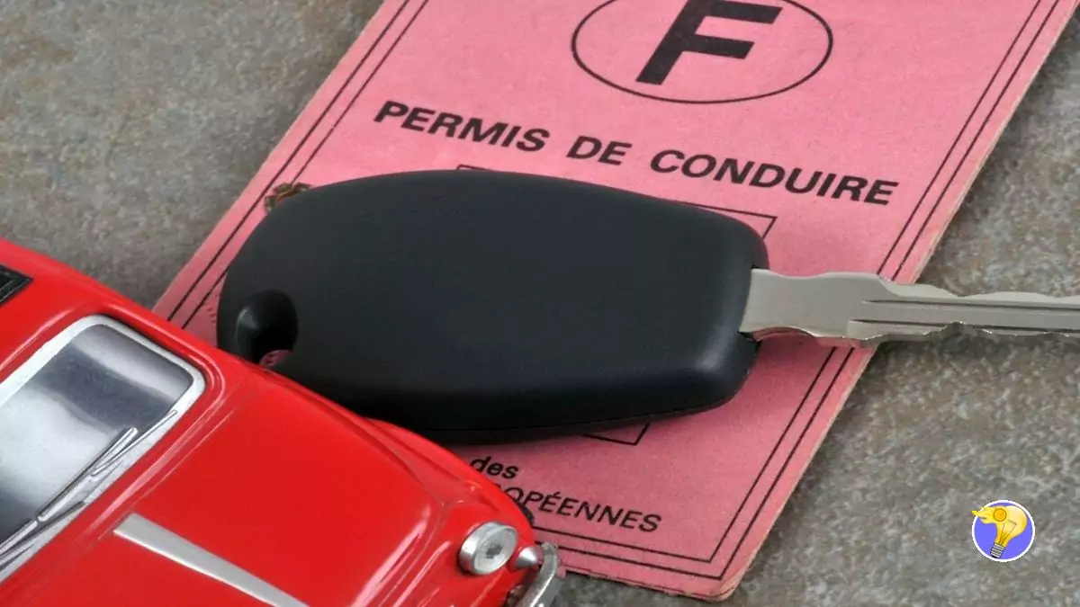 Rater votre Permis de Conduire est une Preuve d’Intelligence!