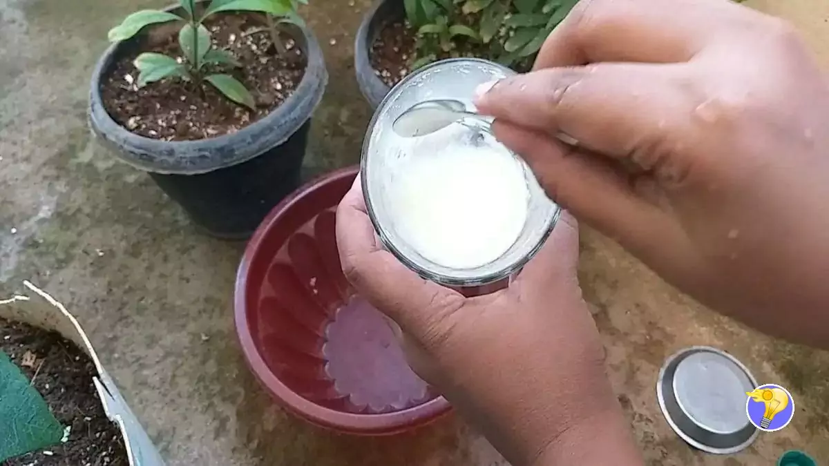 Yaourt Périmé Un Produit Laitier à ne pas Gaspiller