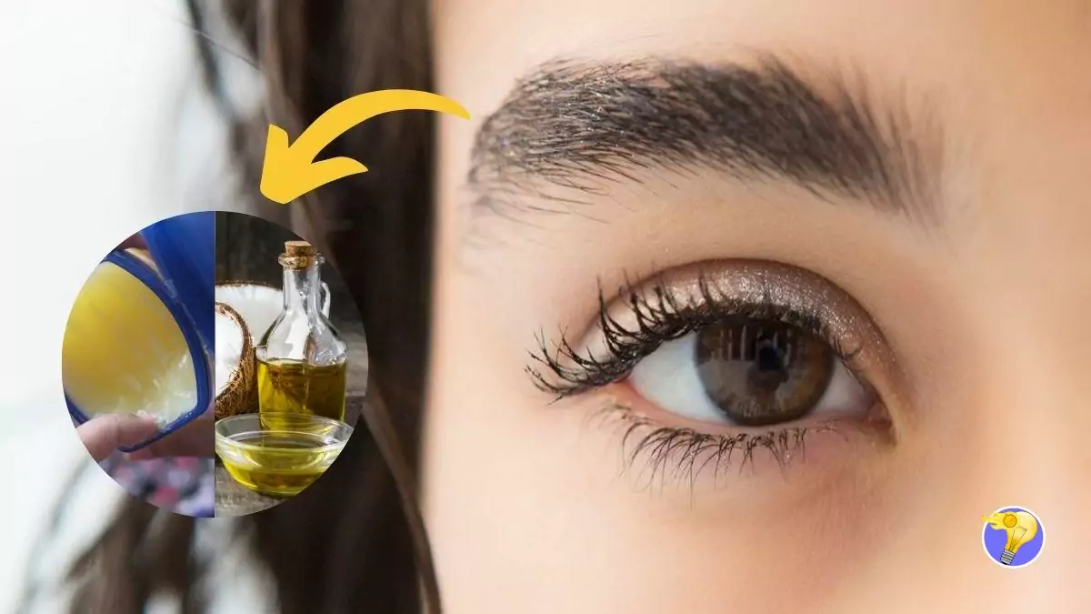 Comment faire Repousser vos Cils et Sourcils