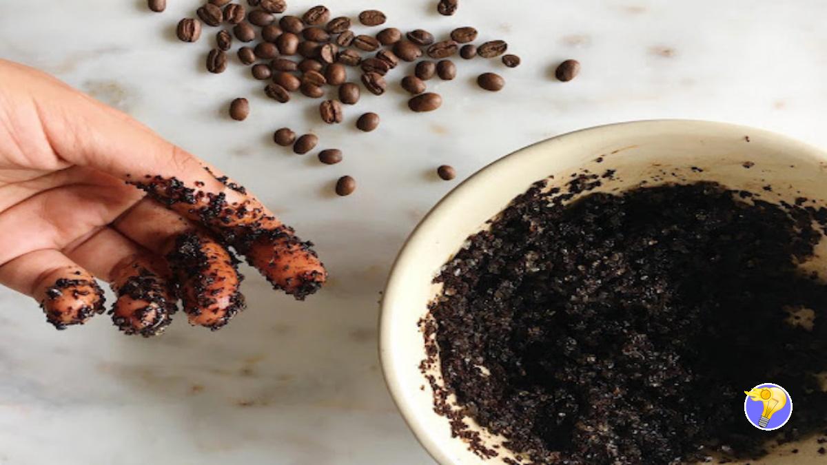 8 Utilisations de Marc de Café au Jardin et à la Maison