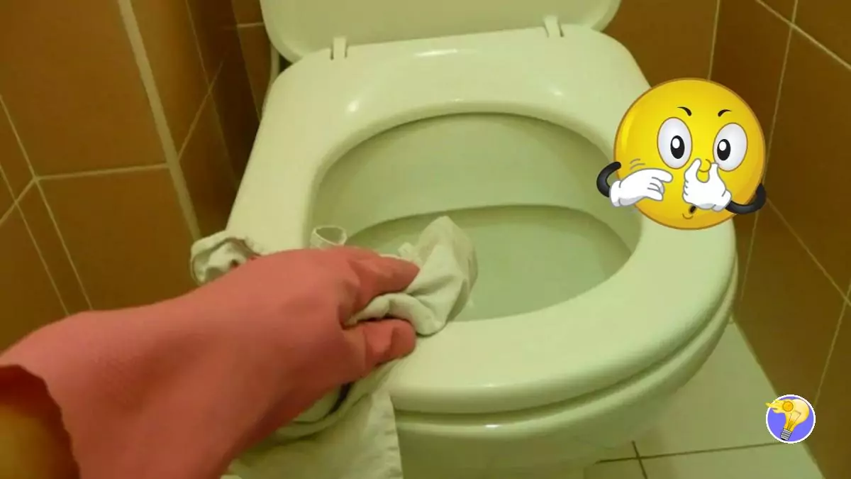 Odeur des Urines Comment les Supprimer de la Salle de Bain