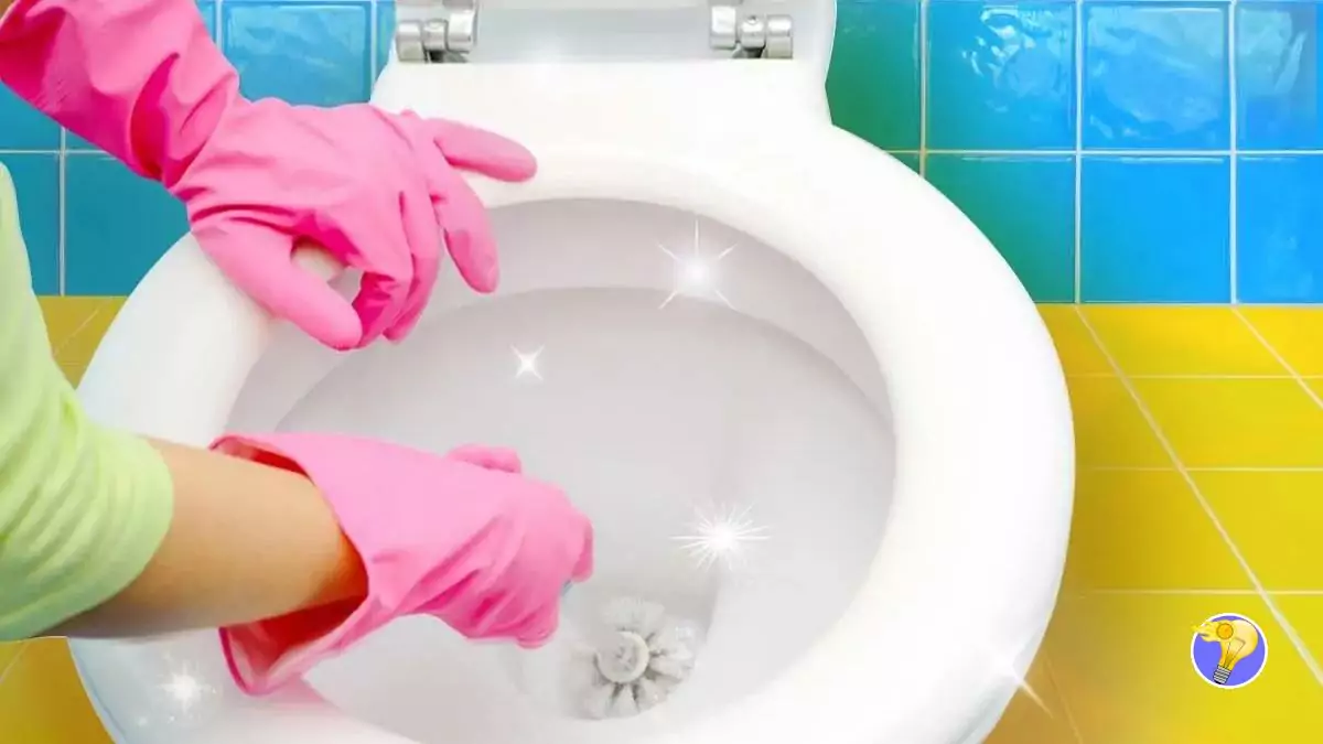 Comment Avoir des Toilettes Propres, Désinfectées et Détartrées